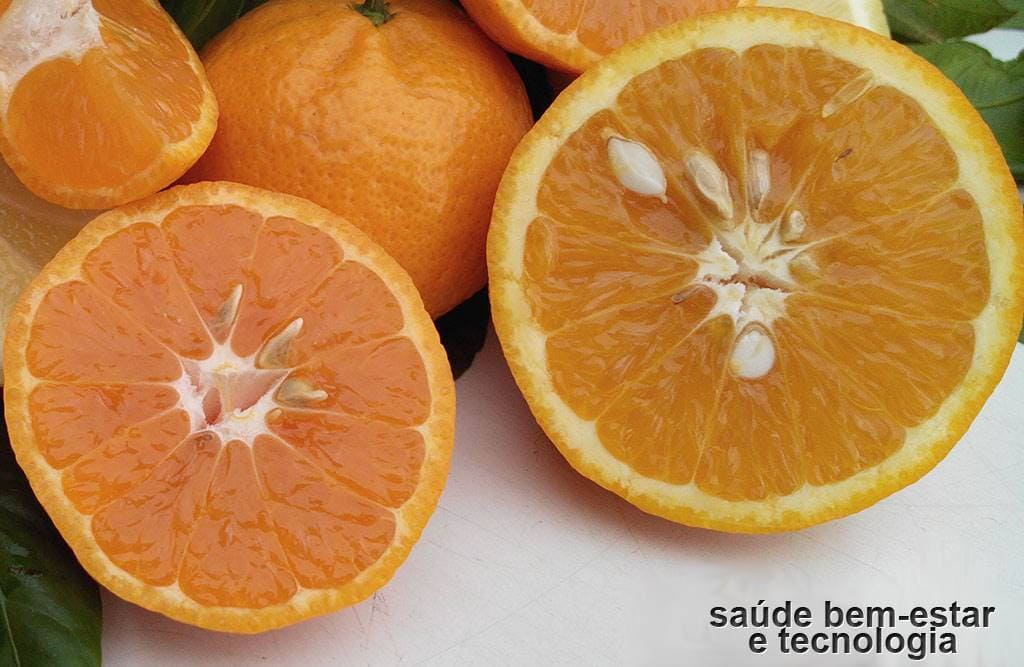 Os benefícios da laranja e do limão