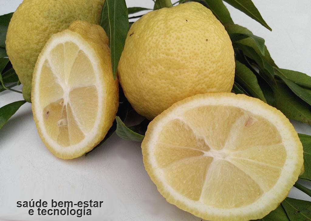 Os benefícios da laranja e do limão