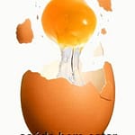 8 alimentos que matam a fome durante mais tempo