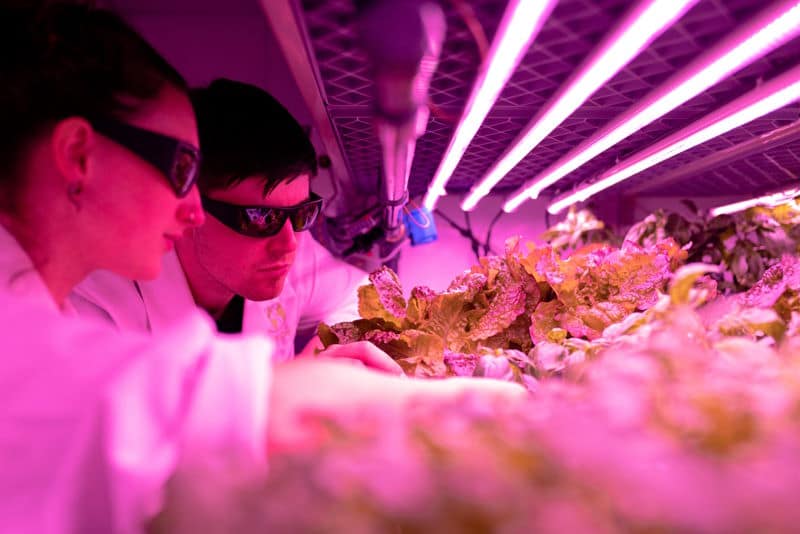 Alimentação saudável com tecnologia – 5 exemplos