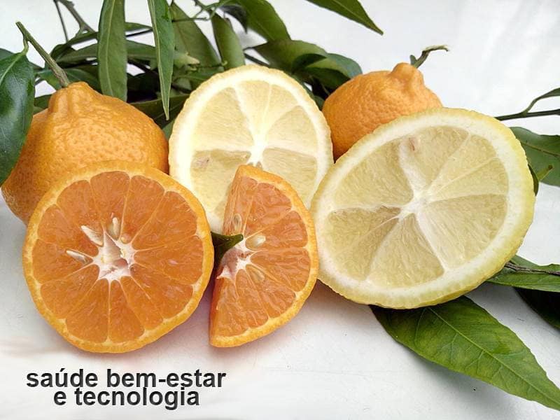 Os benefícios da laranja e do limão 1 Os benefícios da laranja e do limão
